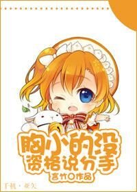 胸小的没资格说分手